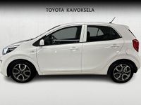 Käytetty Kia Picanto EX 84 HP (61 kW) 2021 Valkoinen Viistoperä