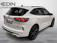 Käytetty Ford Kuga ST-Line 224 HP (164 kW) 2021 Valkoinen Katumaasturi
