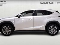 käytetty Lexus NX300h AWD Business