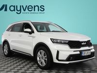 Käytetty Kia Sorento Premium 265 HP (194 kW) 2024 Valkoinen Katumaasturi