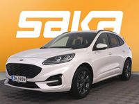 Käytetty Ford Kuga ST-Line 224 HP (164 kW) 2021 Katumaasturi