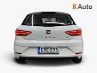 Käytetty Seat Leon Business 131 HP (96 kW) 2019 Viistoperä