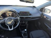 Käytetty Kia Picanto LX 67 HP (49 kW) 2019 Viistoperä