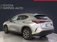 Käytetty Lexus NX450h+ Business Edition 306 HP (225 kW) 2024 Hopea Katumaasturi
