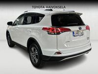 Käytetty Toyota RAV4 Active 153 HP (112 kW) 2016 Valkoinen Katumaasturi