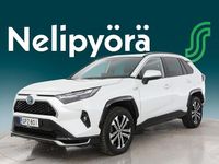 Käytetty Toyota RAV4 Hybrid Anniversary 306 HP (225 kW) 2024 Katumaasturi