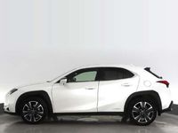 käytetty Lexus UX 1A SUV 250h e-CVT 2WD