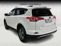 Käytetty Toyota RAV4 Hybrid Active 155 HP (114 kW) 2016 Valkoinen Katumaasturi