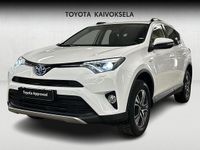 Käytetty Toyota RAV4 Hybrid Active 155 HP (114 kW) 2016 Valkoinen Katumaasturi