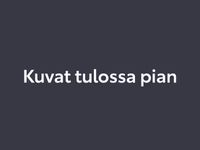 Kuva 1