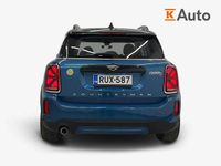 Käytetty Mini Cooper Countryman Essential 217 HP (159 kW) 2023 Met. sininen Katumaasturi