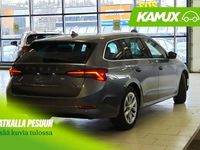 Käytetty Skoda Octavia Style 150 HP (110 kW) 2024 Hopea / harmaa Farmari