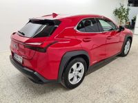 käytetty Lexus UX 250h AWD Premium