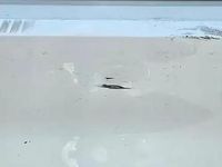 Käytetty VW Passat 156 HP (114 kW) 2019 Valkoinen Farmari