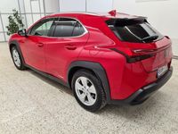 käytetty Lexus UX 250h AWD Premium