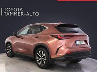 Käytetty Lexus NX450h+ 306 HP (225 kW) 2025 Ruskea Katumaasturi