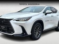 Käytetty Lexus NX450h+ Executive Line 306 HP (225 kW) 2025 Valkoinen Katumaasturi