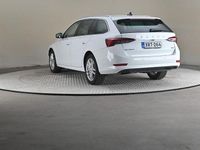 Käytetty Skoda Octavia Style 110 HP (80 kW) 2023 Farmari