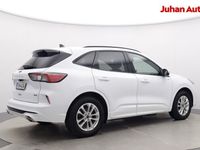 käytetty Ford Kuga 2,5 Ladattava hybridi (PHEV) 225hv CVT FWD 5-ovine