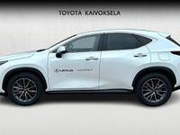 Käytetty Lexus NX450h+ Executive Line 306 HP (225 kW) 2025 Valkoinen Katumaasturi