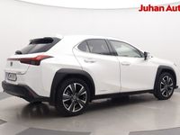 käytetty Lexus UX 250h AWD Premium