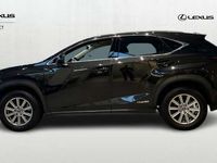 käytetty Lexus NX300h AWD Business