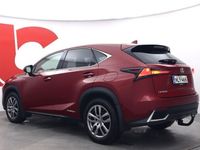 käytetty Lexus NX300h AWD Executive - / 1-omistaja / Täysmerkkikirja / Navi / Lasikatto / Koukku