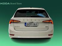 Käytetty Skoda Octavia Style 150 HP (110 kW) 2021 Farmari