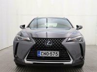 käytetty Lexus UX 250h Comfort