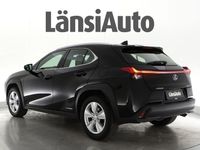 käytetty Lexus UX 250h Comfort / Bi-LED / Kamera /