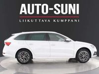 käytetty Skoda Octavia Combi 1,6 Elegance ** TILAVA FARKKU ENSIMMÄISELTÄ OMISTAJALTA **