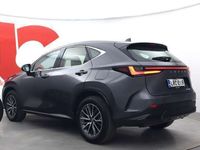 käytetty Lexus NX350h AWD Business