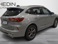 Käytetty Ford Kuga ST-Line X 151 HP (111 kW) 2024 Hopea Katumaasturi