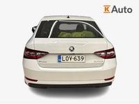 Käytetty Skoda Superb Business Line 150 HP (110 kW) 2019 Sedan