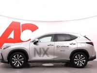 Käytetty Lexus NX450h+ Executive Line 306 HP (225 kW) 2025 Hopea Katumaasturi