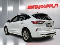 Käytetty Ford Kuga ST-Line X 190 HP (139 kW) 2022 Valkoinen Katumaasturi