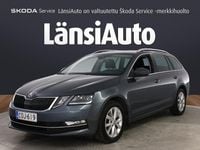 Käytetty Skoda Octavia Business Line 150 HP (110 kW) 2020 Harmaa Farmari