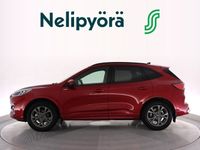 käytetty Ford Kuga KUGA 2,5 Hybrid (HEV) 190hv CVT AWD ST-Line X 5-ovinen -neliveto nopealla toimituksella Nelipy