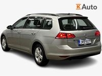 Käytetty VW Golf VII Allstar 110 HP (80 kW) 2017 Harmaa Farmari