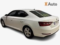 Käytetty Skoda Superb Business Line 150 HP (110 kW) 2019 Sedan