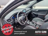 käytetty Ford Kuga 2,5 Ladattava hybridi (PHEV) 225hv CVT FWD ST-Line X 5-ovinen