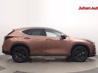 Käytetty Lexus NX450h+ Executive Line 309 HP (227 kW) 2024 Ruskea Katumaasturi