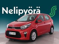 Käytetty Kia Picanto EX 84 HP (61 kW) 2019 Viistoperä