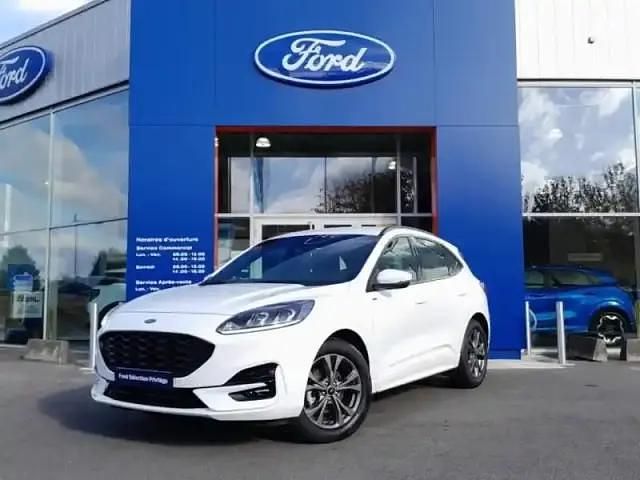 Blanc glacier Occasion 2024 Ford Kuga ST-Line SUV | 29 989 € (Prix juste) - Image 1/4