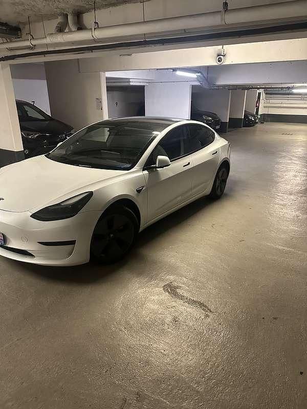 Occasion Tesla Model 3 Standard Range Plus 202 kW (275 ch) 2022 Blanc Berline