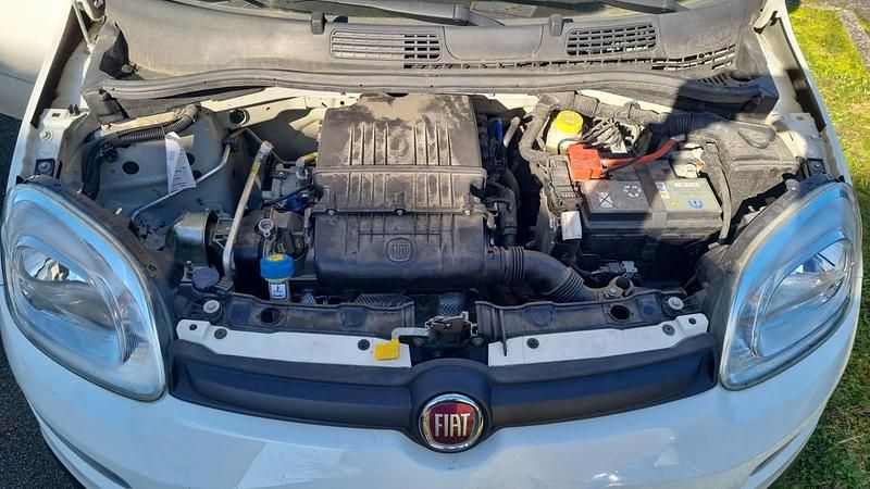 Occasion Fiat Panda Easy 69 ch (50 kW) 2020 Blanc Citadine