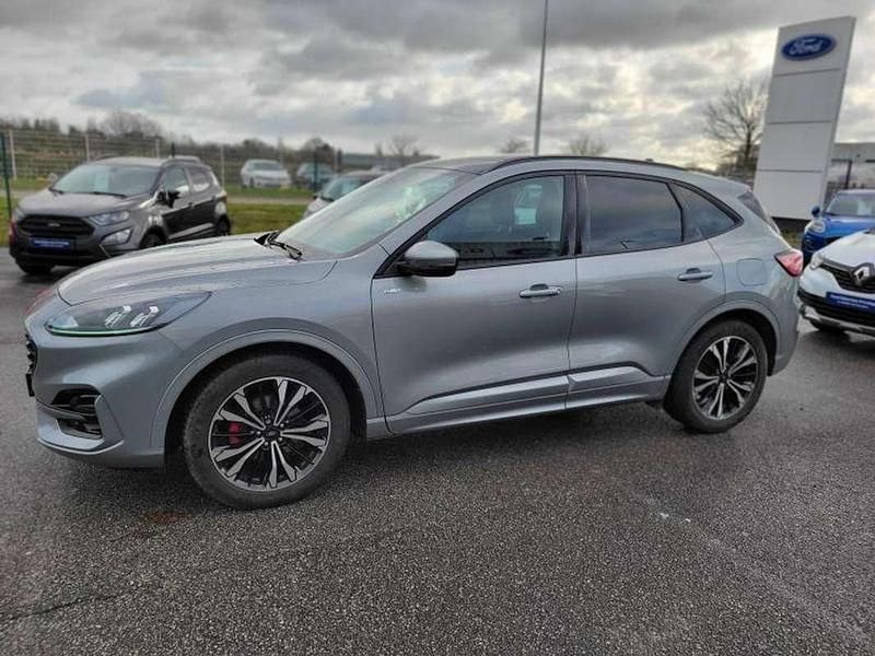Occasion Ford Kuga ST-Line 154 ch (113 kW) 2023 Bleu SUV