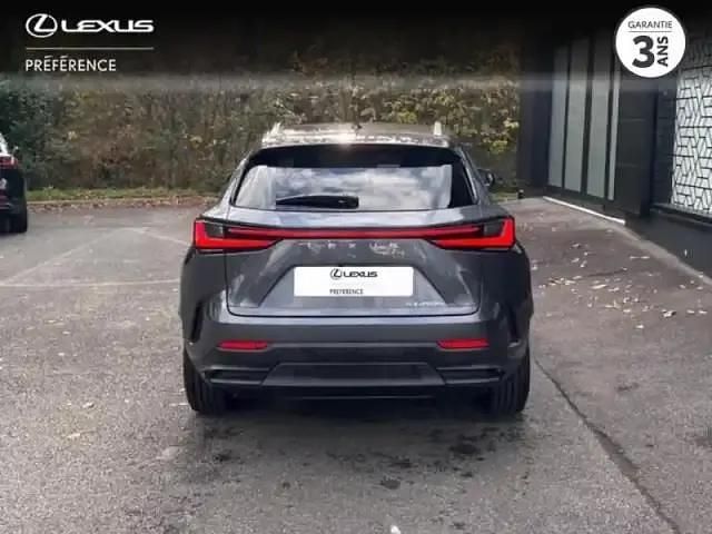 Occasion Lexus NX450h+ 2024 Gris de payne métallisé SUV