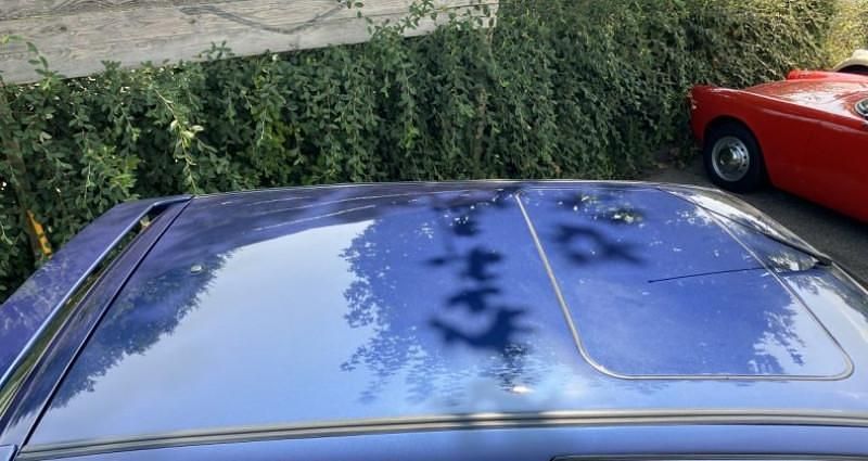 Occasion Renault Clio 150 ch (110 kW) 1993 Citadine