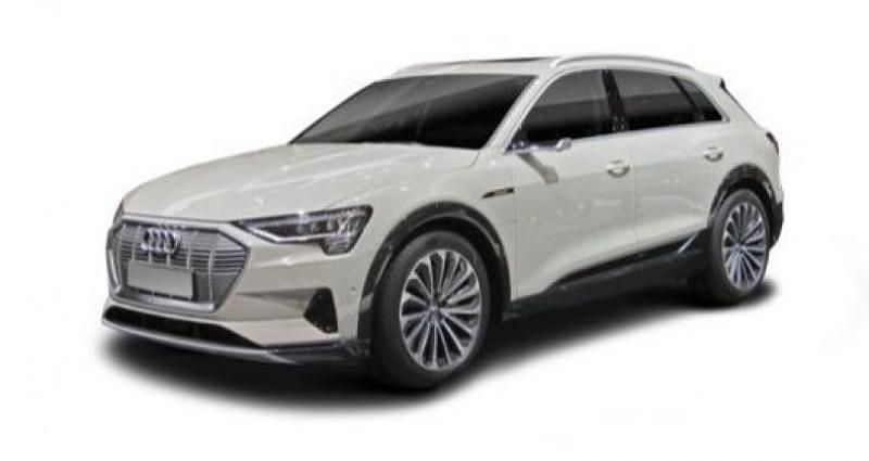 Utilisé 2019 Audi e-tron Design SUV | 42 900 € (Prix cher) - Image 1/4